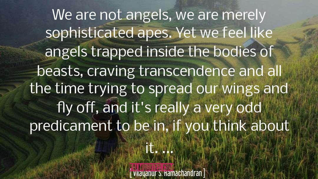 Spread Wings Quote quotes by Vilayanur S. Ramachandran