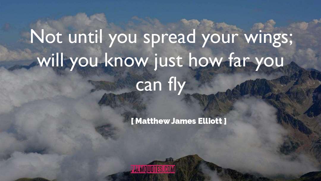 Spread Wings Quote quotes by Matthew James Elliott