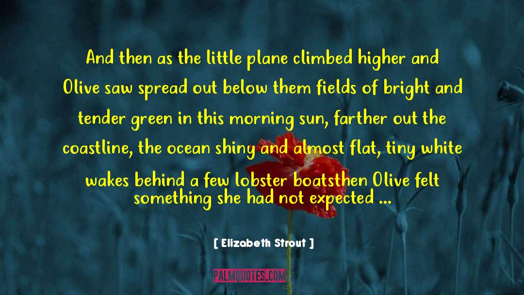 Spread Your Wings quotes by Elizabeth Strout