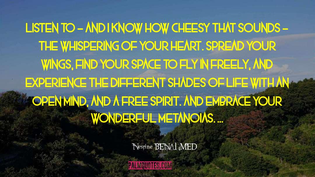 Spread Your Wings quotes by Nesrine BENAHMED