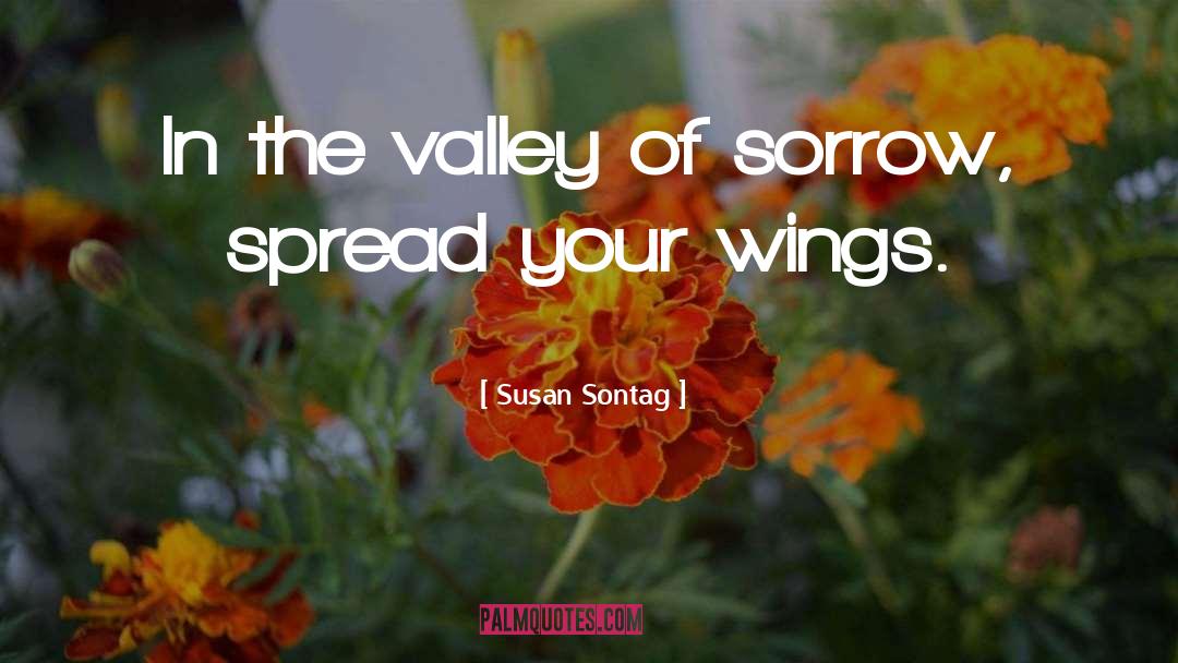 Spread Your Wings quotes by Susan Sontag