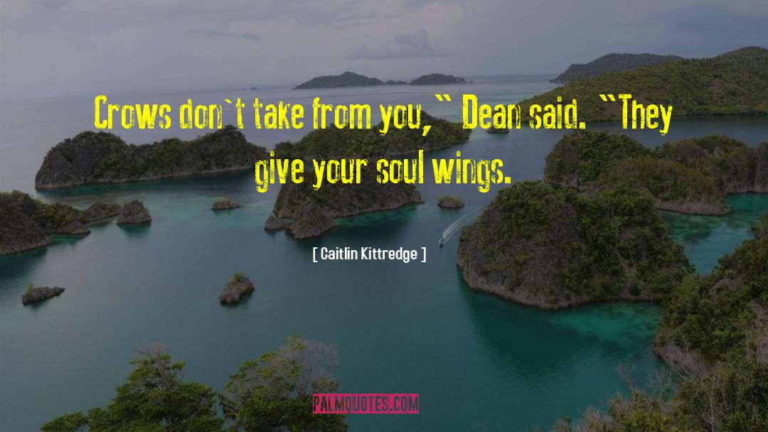 Spreading Your Wings quotes by Caitlin Kittredge