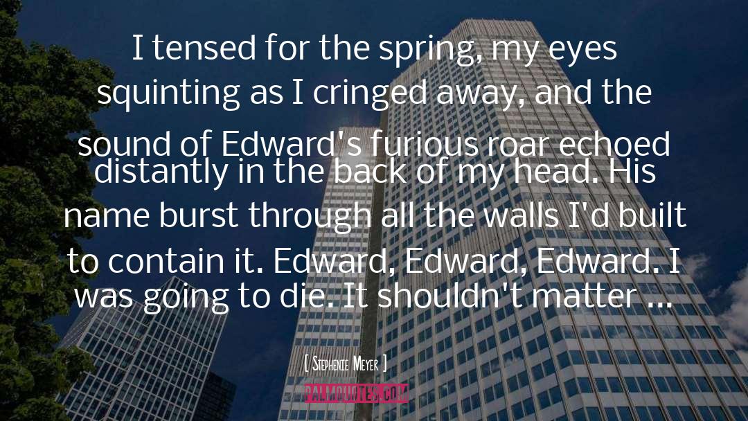 Spring Board quotes by Stephenie Meyer