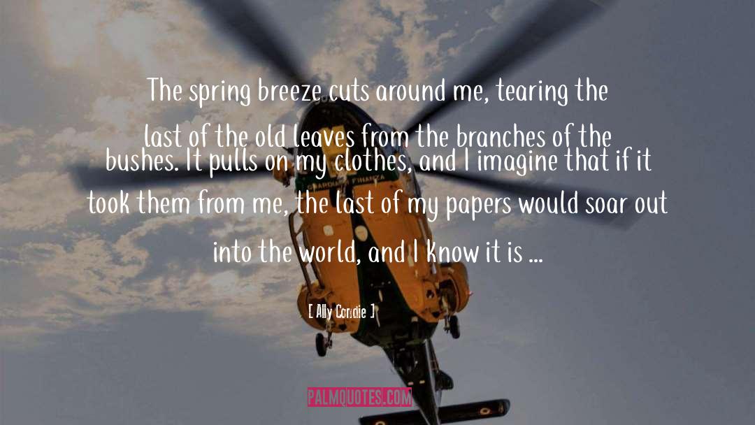 Spring Breeze quotes by Ally Condie