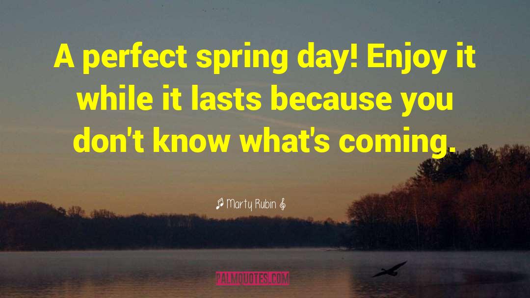 Spring Day quotes by Marty Rubin