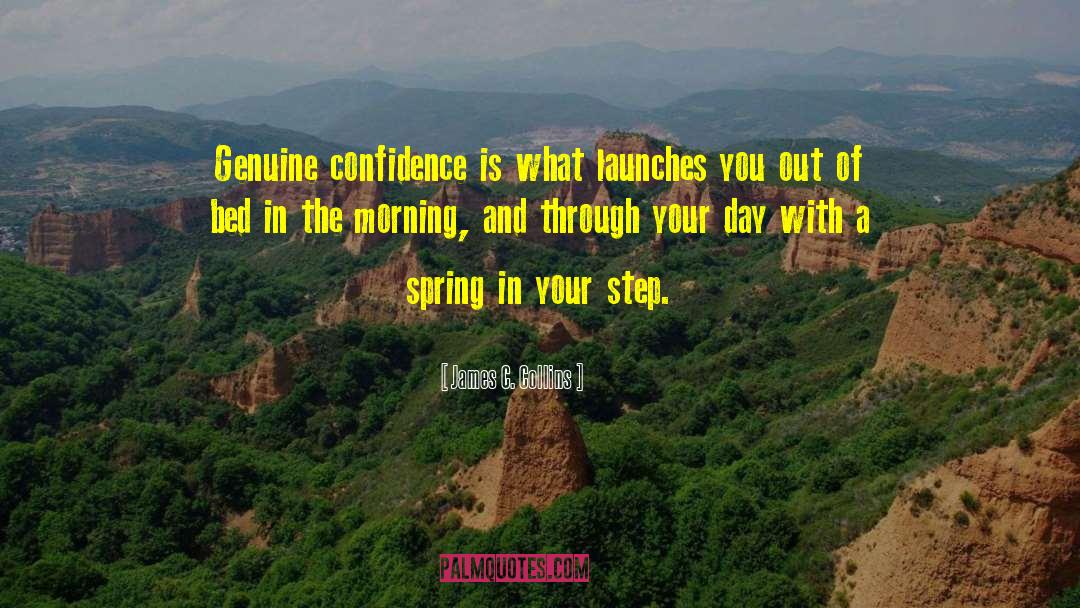 Spring In Your Step quotes by James C. Collins