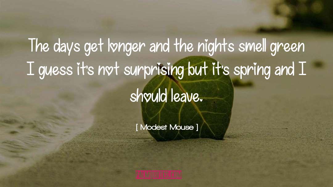 Spring quotes by Modest Mouse