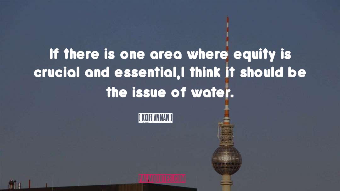 Spring Water quotes by Kofi Annan