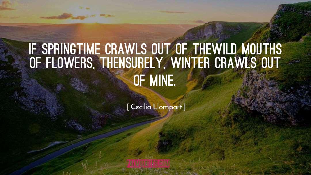 Springtime quotes by Cecilia Llompart