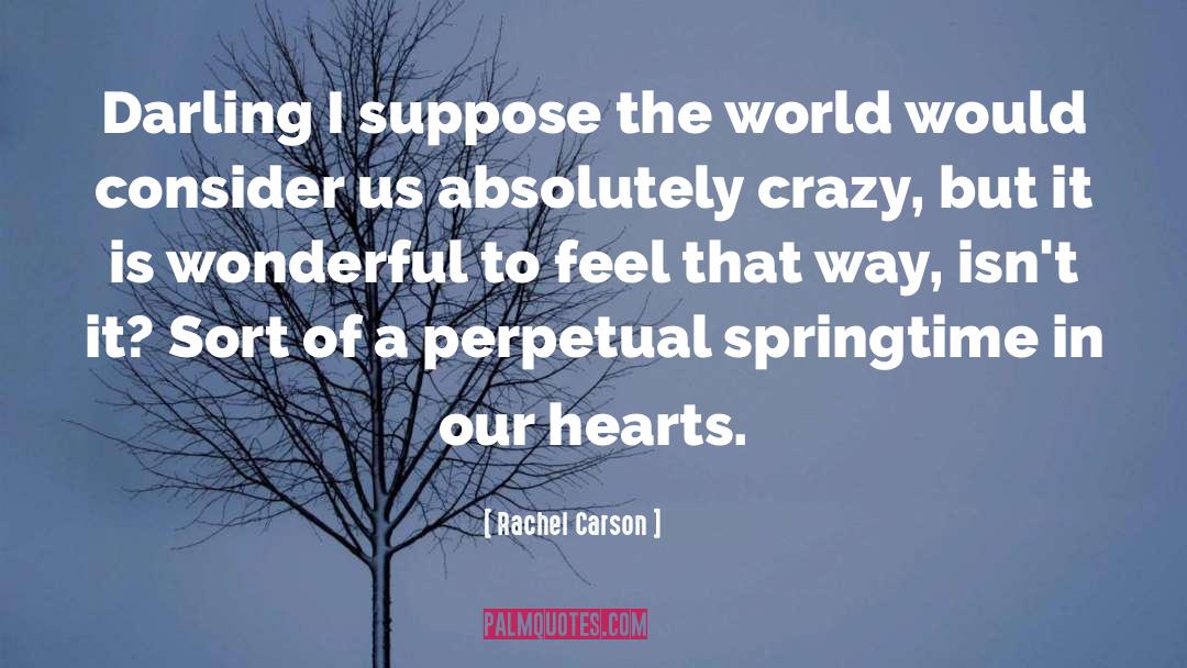 Springtime quotes by Rachel Carson