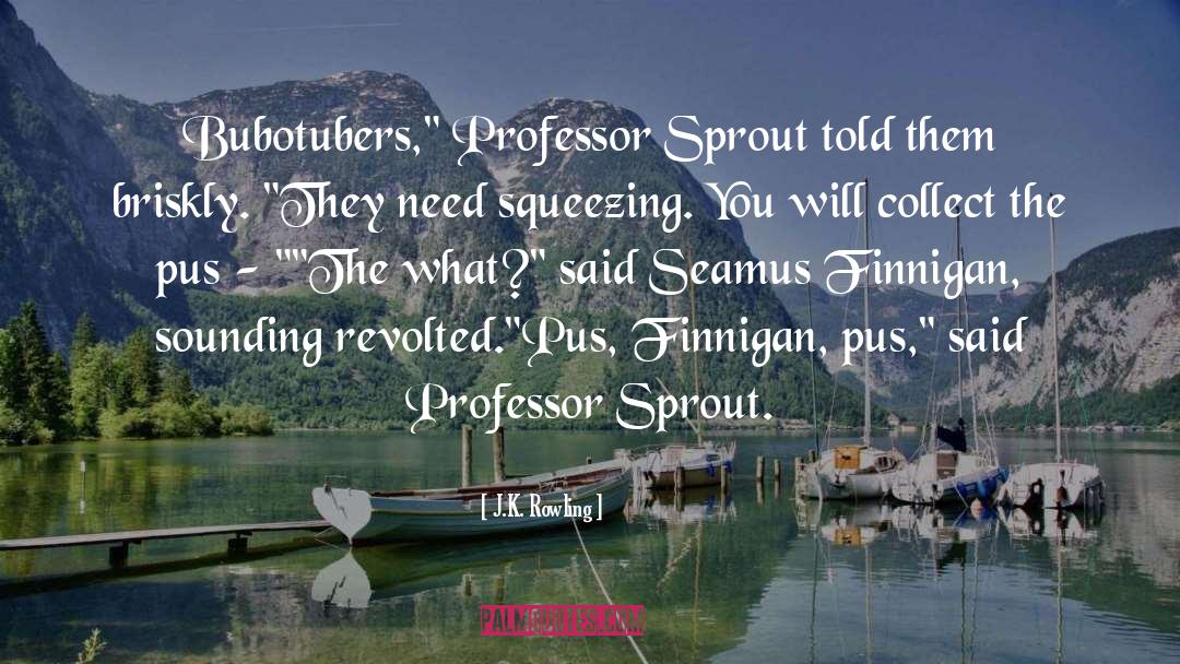 Sprout quotes by J.K. Rowling