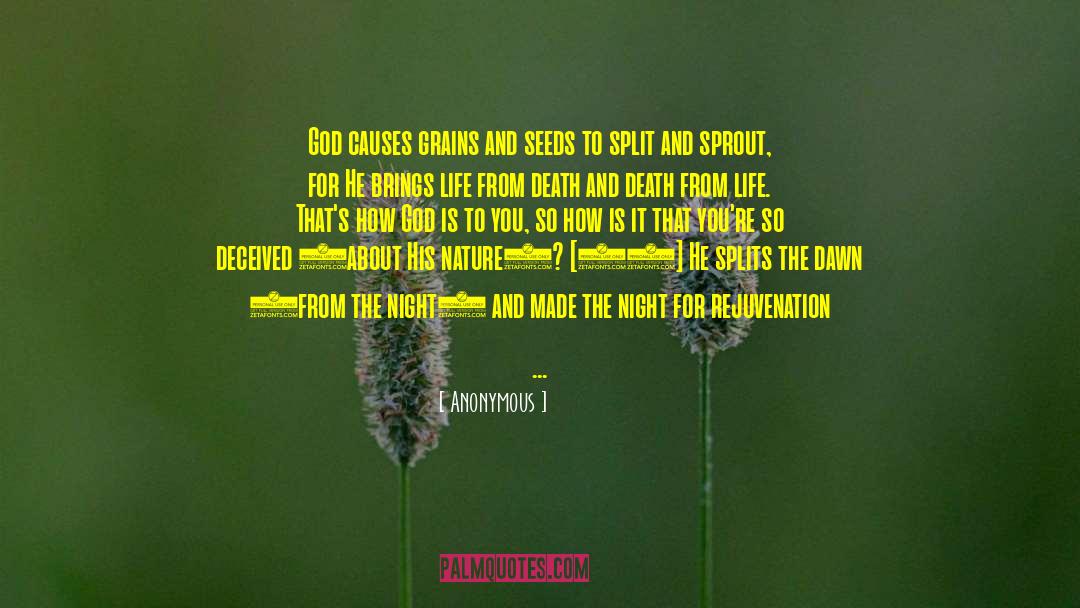 Sprout quotes by Anonymous