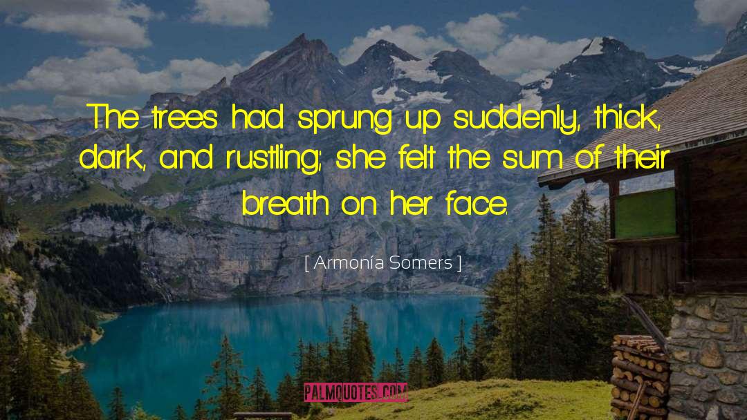 Sprung Up quotes by Armonía Somers