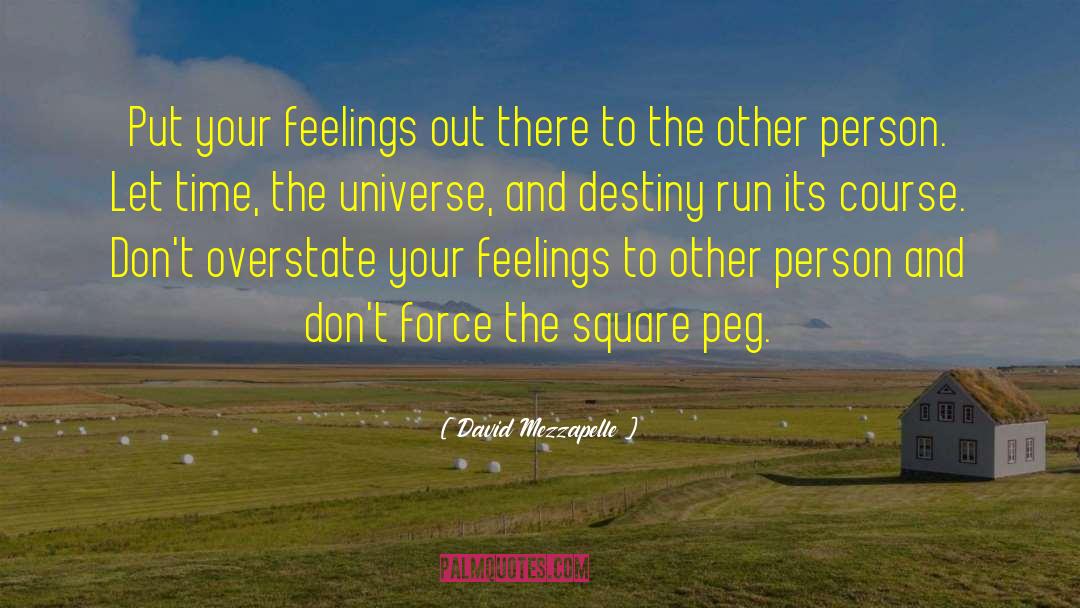 Square Peg quotes by David Mezzapelle