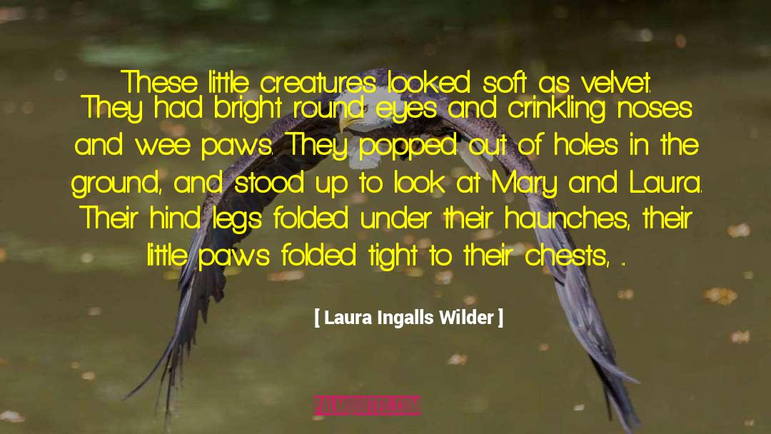 Square Pegs In Round Holes quotes by Laura Ingalls Wilder