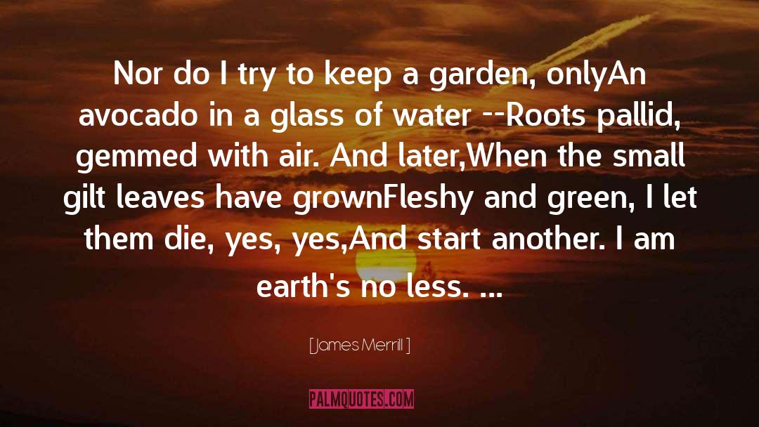 Square Roots quotes by James Merrill