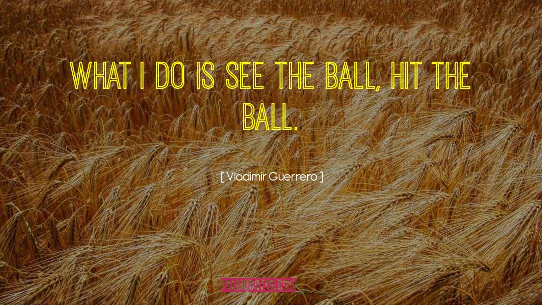 Squeezy Ball quotes by Vladimir Guerrero