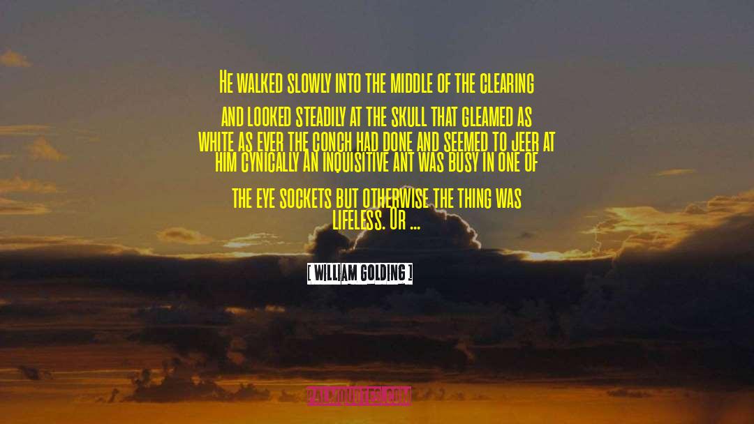 Squinted Eye quotes by William Golding