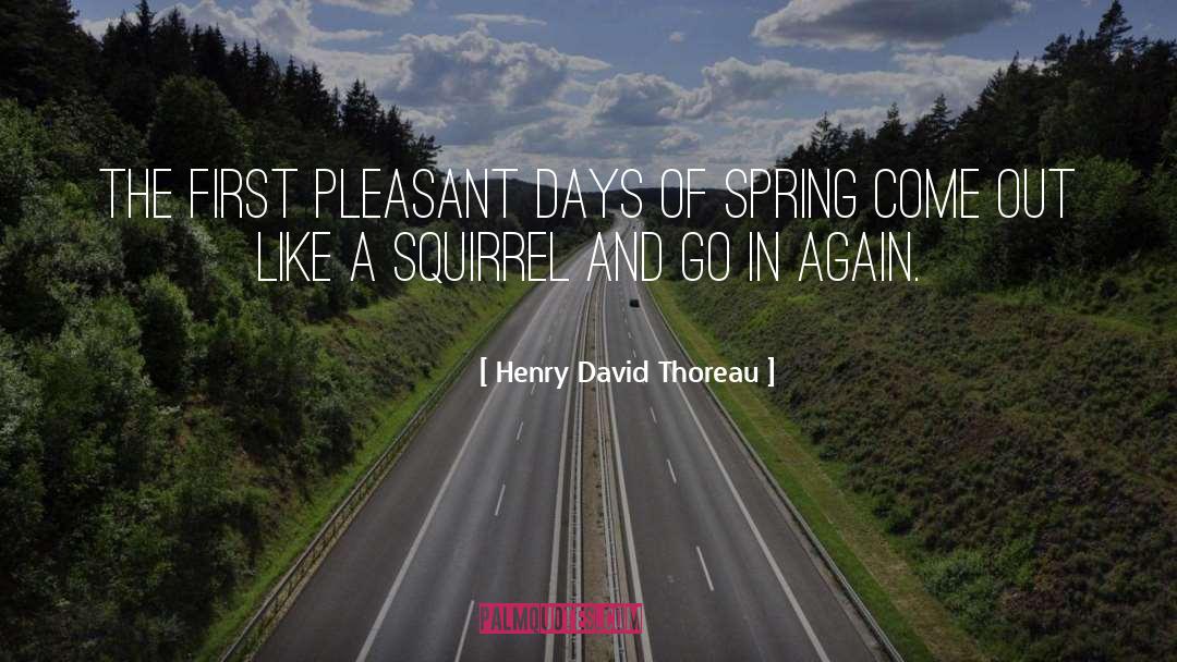 Squirrel quotes by Henry David Thoreau