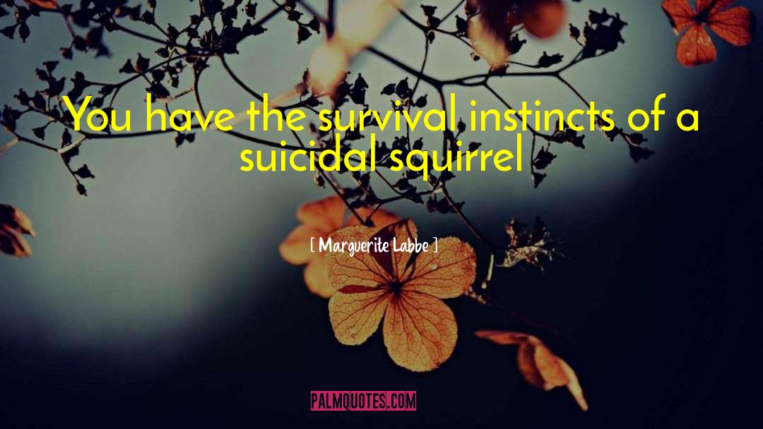 Squirrel quotes by Marguerite Labbe