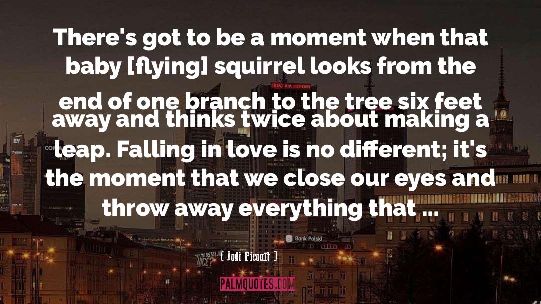 Squirrel quotes by Jodi Picoult