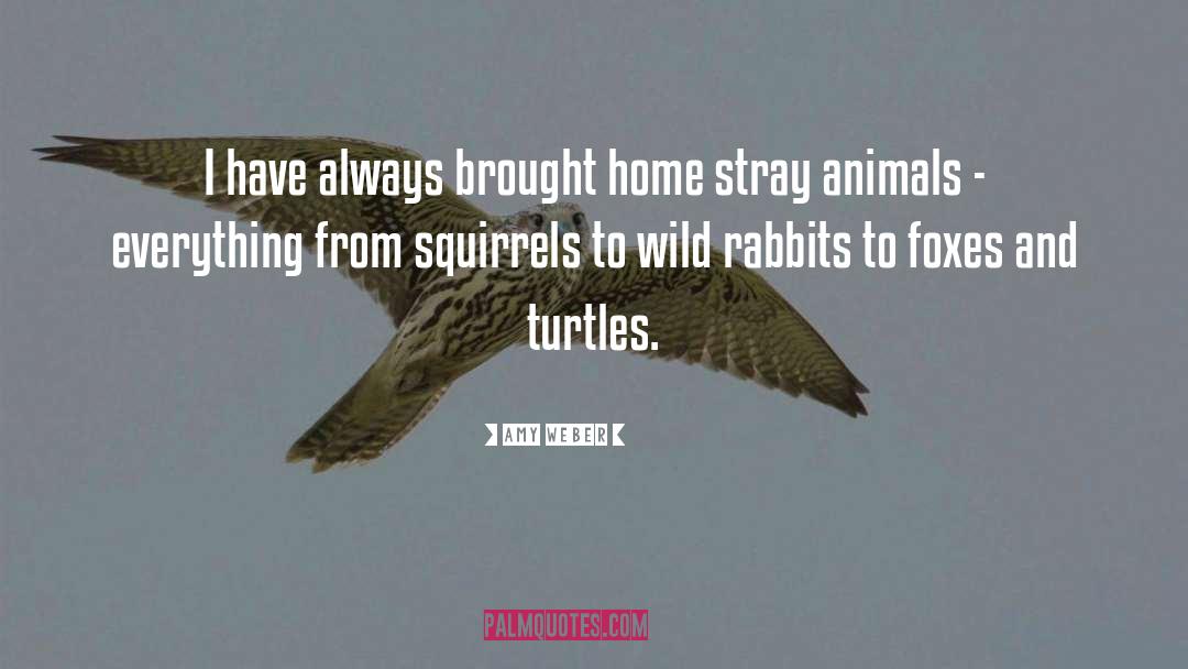 Squirrels quotes by Amy Weber