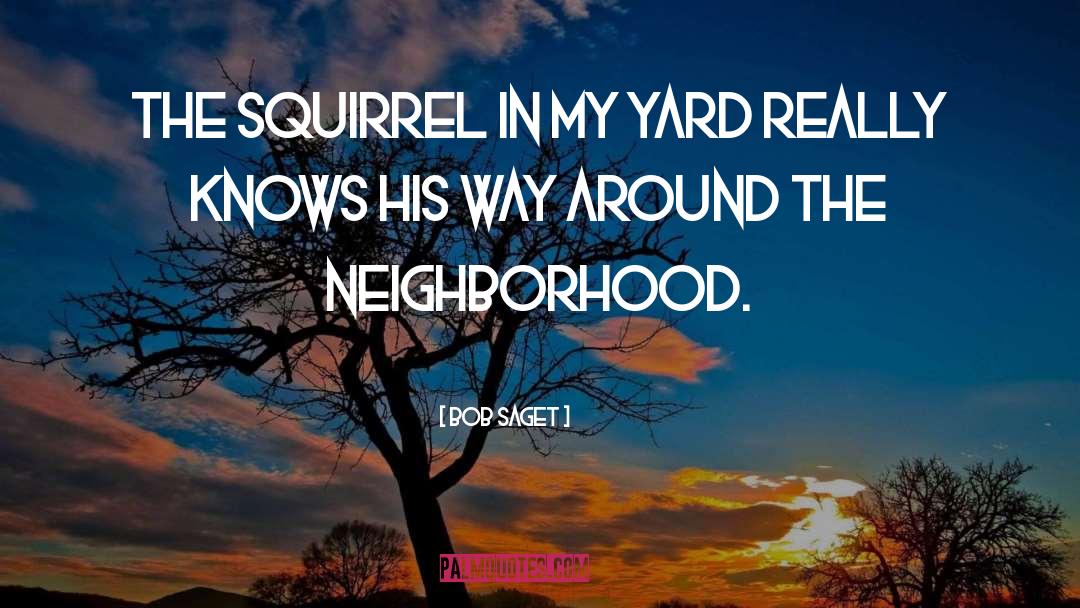 Squirrels quotes by Bob Saget