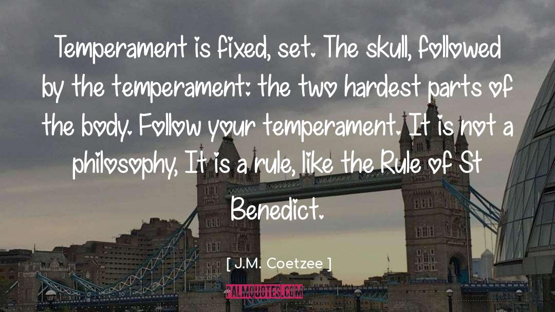 St Benedict quotes by J.M. Coetzee