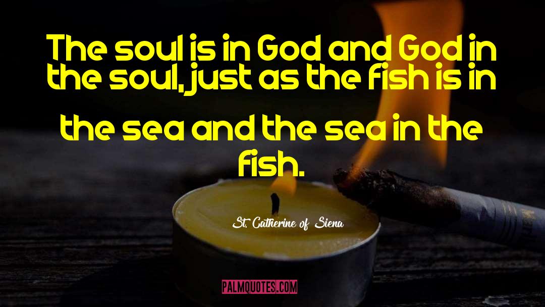 St Catherine Of Siena quotes by St. Catherine Of Siena