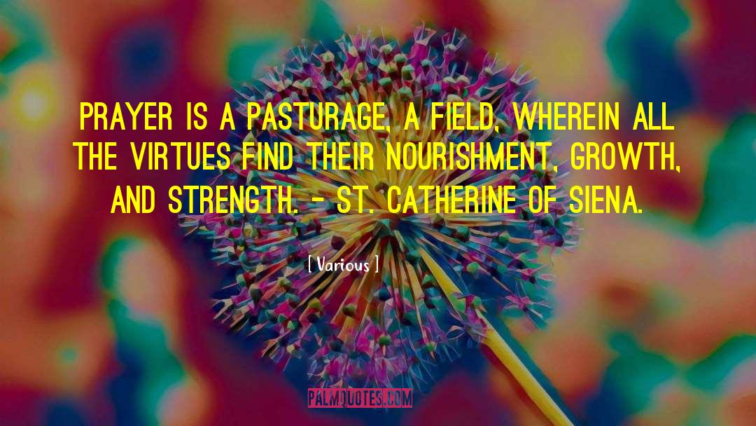 St Catherine Of Siena quotes by Various