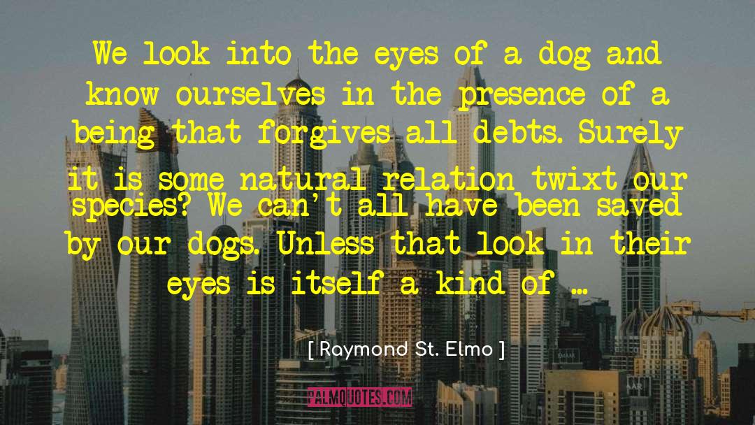 St Elmo quotes by Raymond St. Elmo