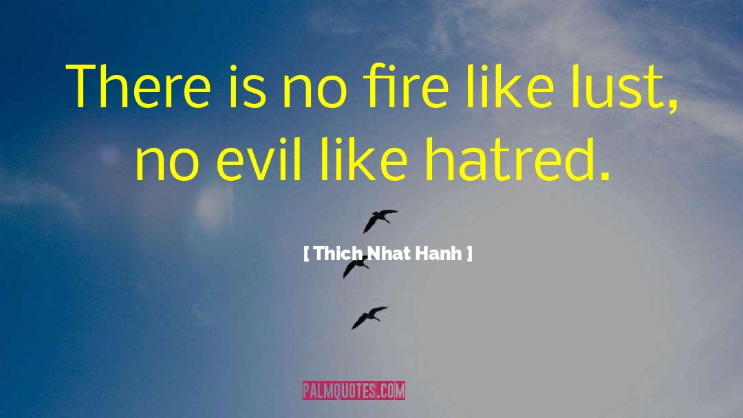 St Evil quotes by Thich Nhat Hanh
