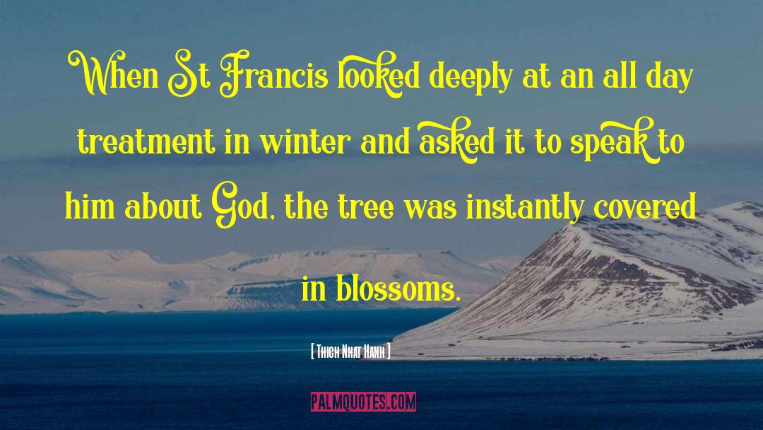 St Francis quotes by Thich Nhat Hanh