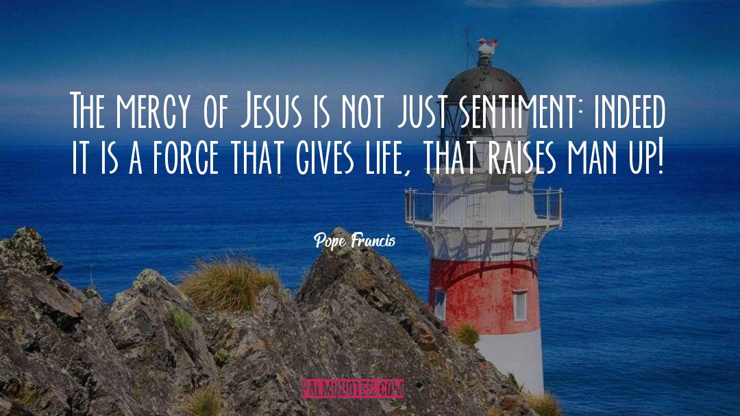St Francis quotes by Pope Francis