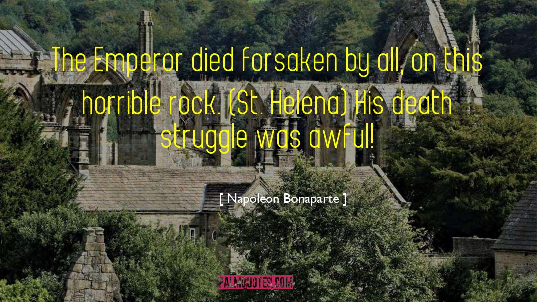 St Helena Vineyard quotes by Napoleon Bonaparte