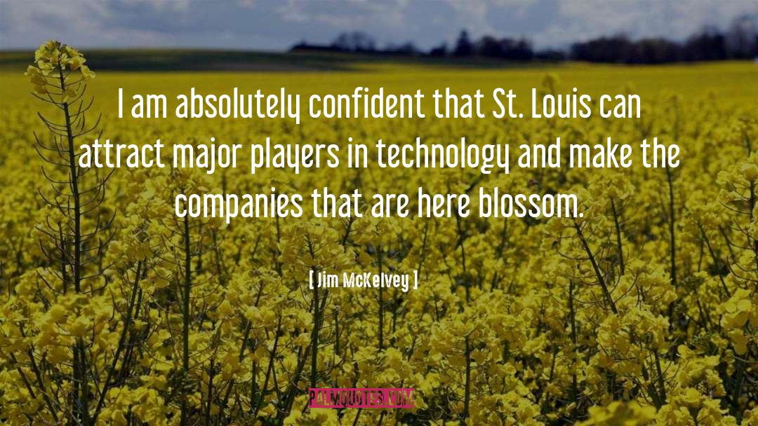 St Louis quotes by Jim McKelvey