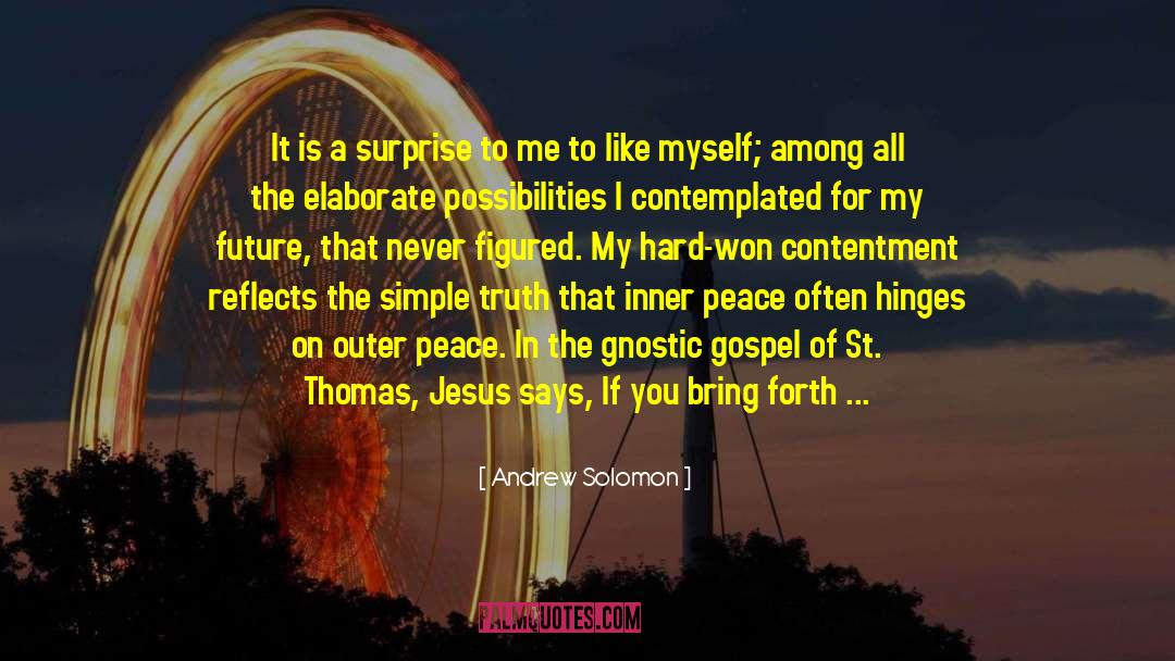 St Thomas quotes by Andrew Solomon