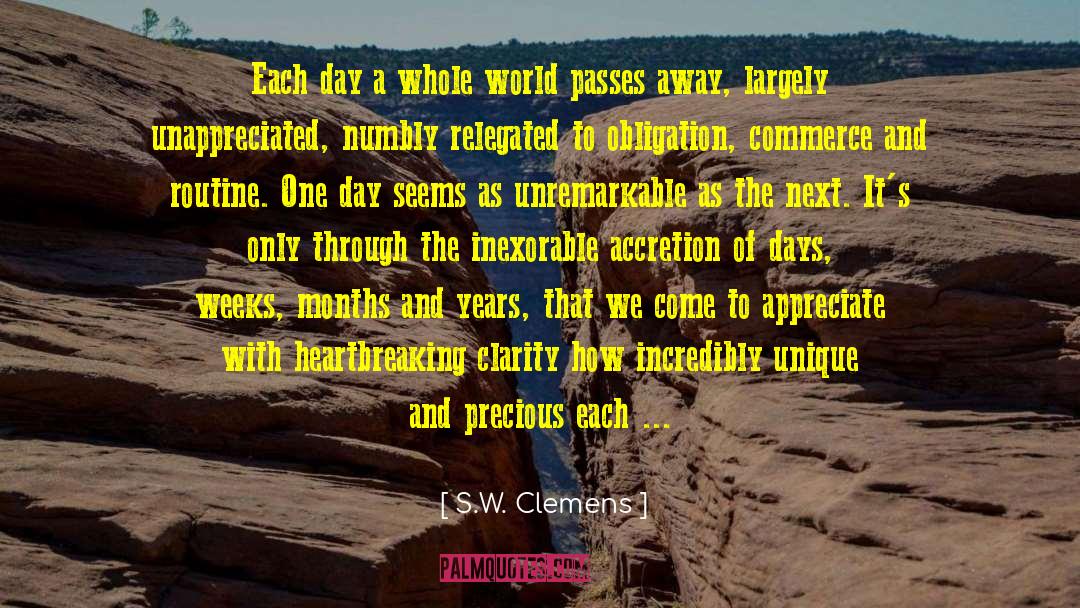 Stability Of The World quotes by S.W. Clemens