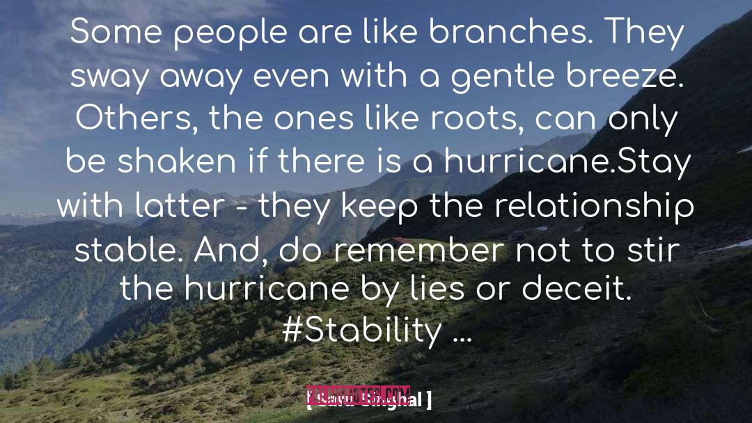 Stability quotes by Saru Singhal