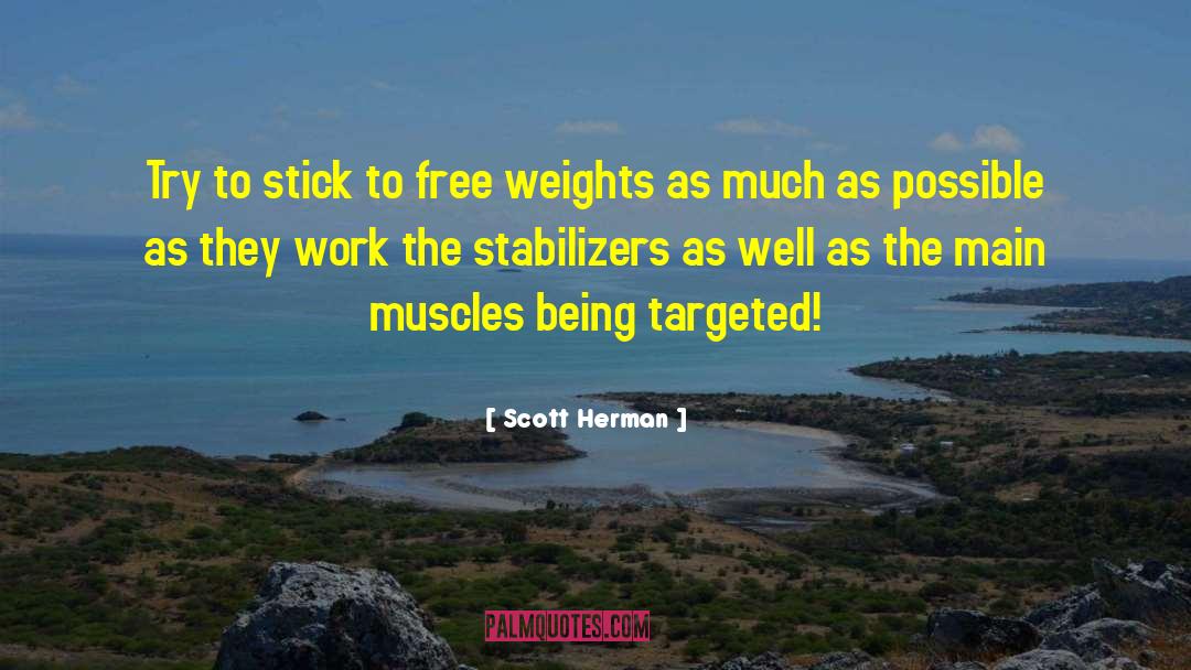 Stabilizers quotes by Scott Herman