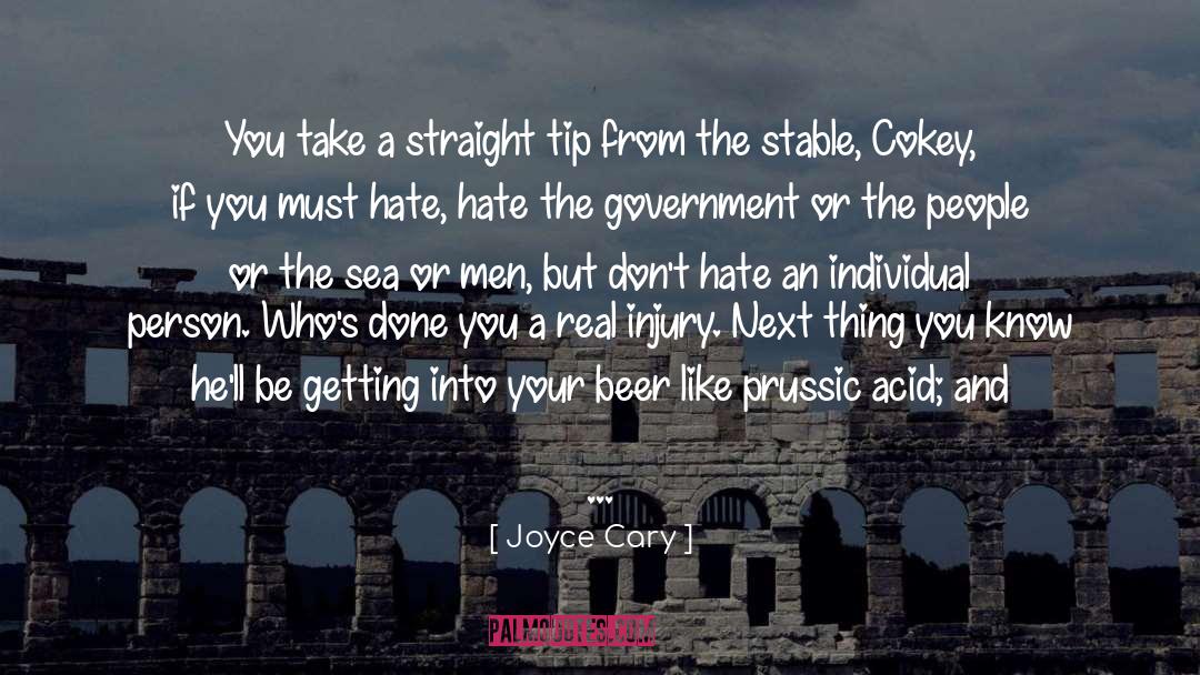 Stable Government quotes by Joyce Cary