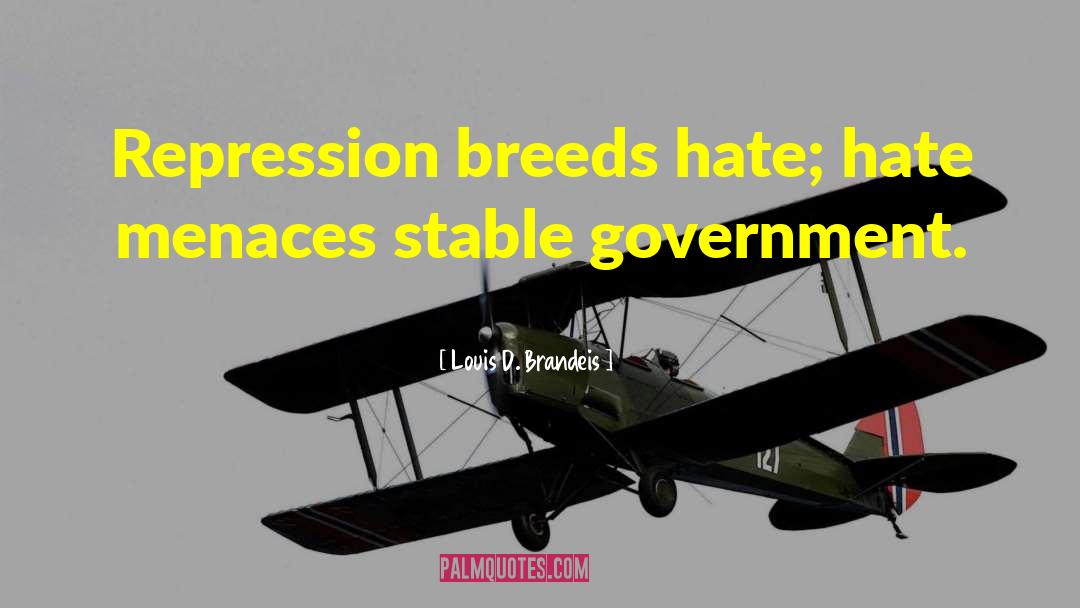Stable Government quotes by Louis D. Brandeis