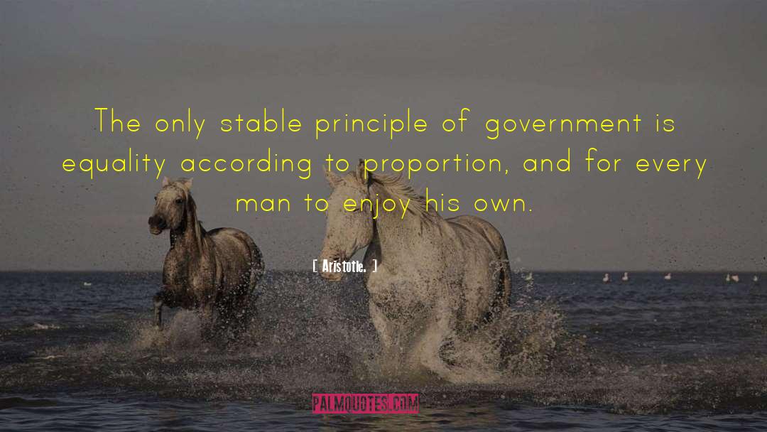Stable Government quotes by Aristotle.