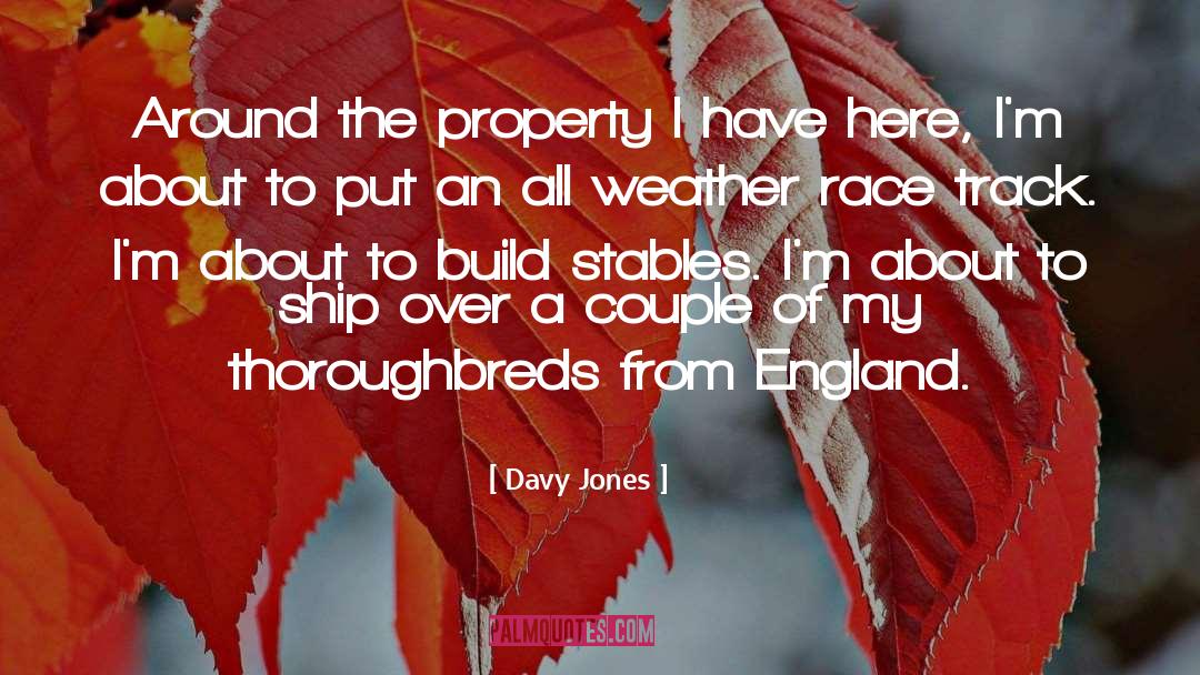 Stables quotes by Davy Jones