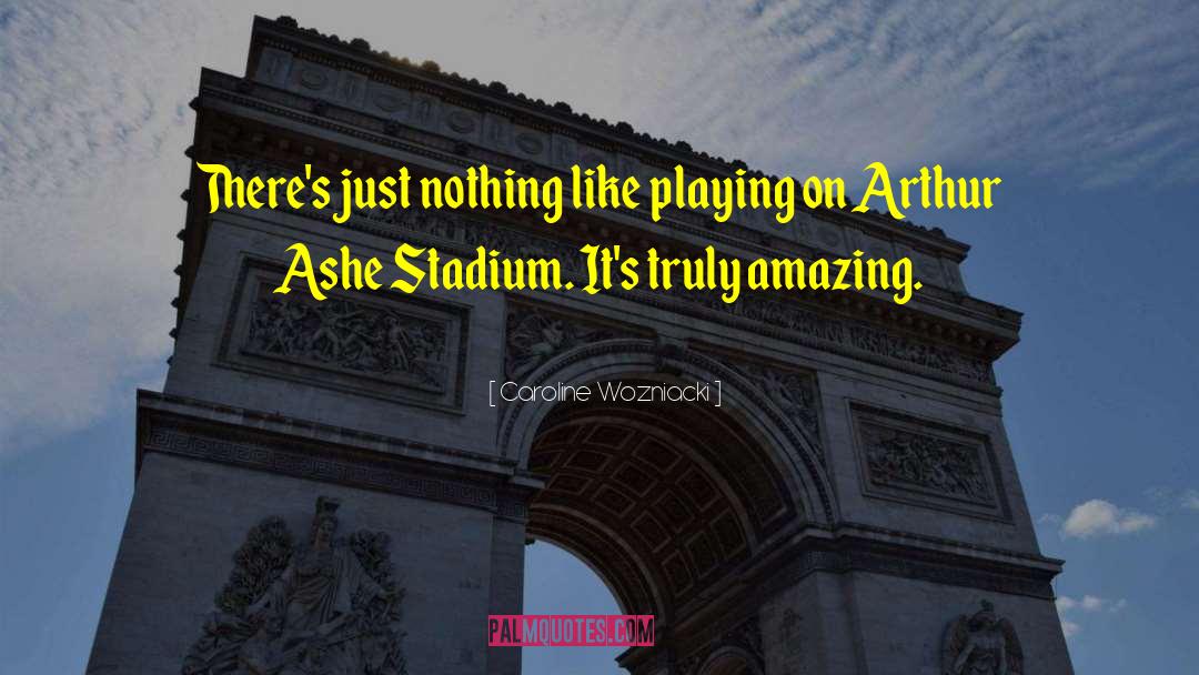 Stadiums quotes by Caroline Wozniacki