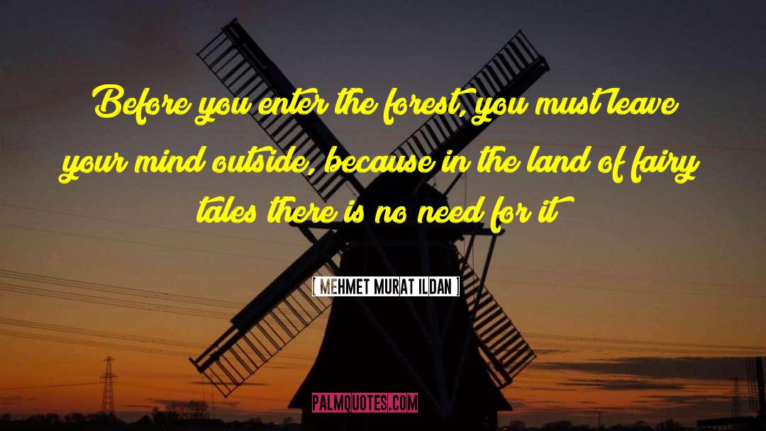 Stadt Land quotes by Mehmet Murat Ildan
