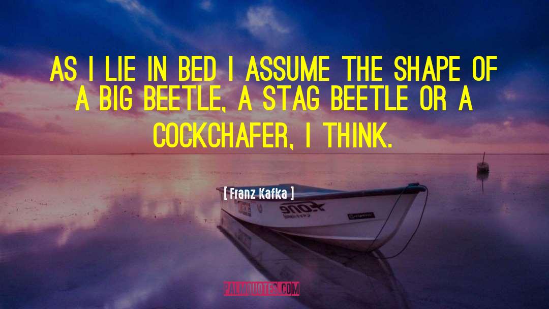 Stag quotes by Franz Kafka