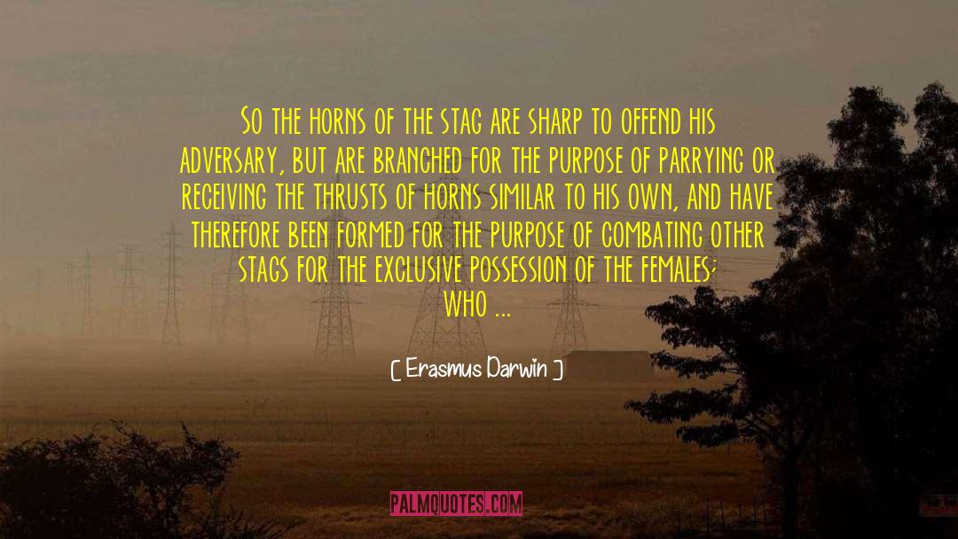 Stag quotes by Erasmus Darwin