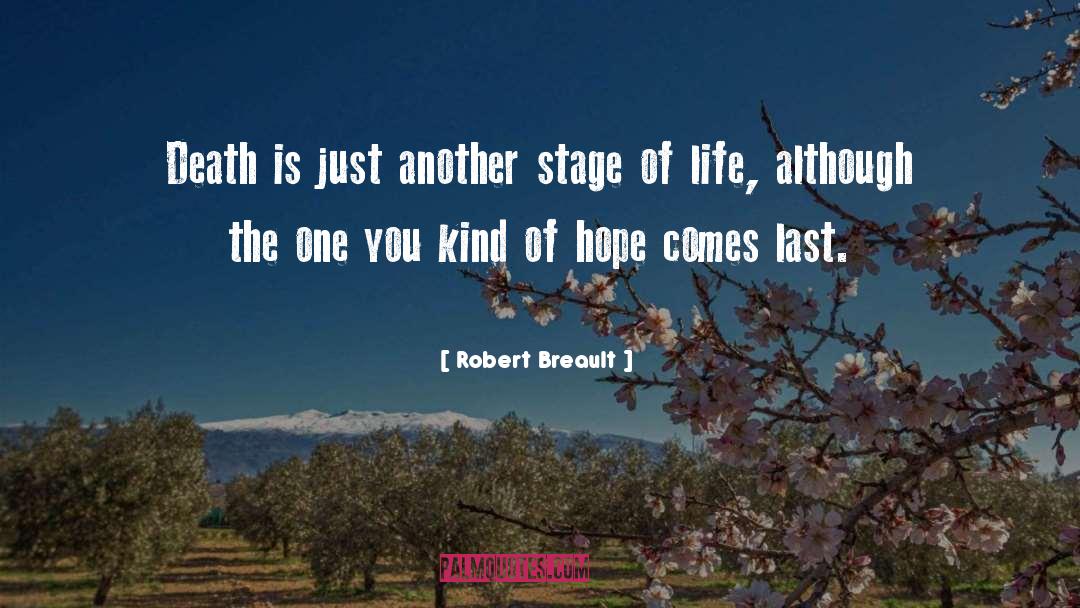 Stage Of Life quotes by Robert Breault