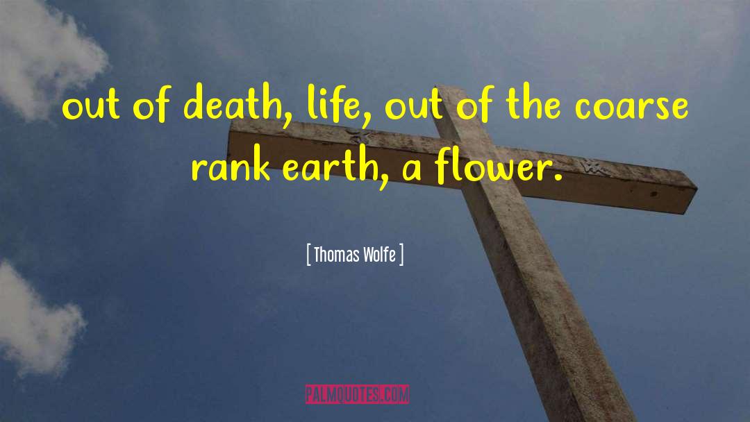 Stages Of Death quotes by Thomas Wolfe